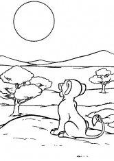 Раскраска Львёнок смотрит на закат