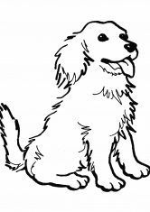 Раскраска Лохматая собака