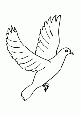 Раскраска Летящий голубь