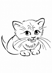 Раскраска Портрет котика