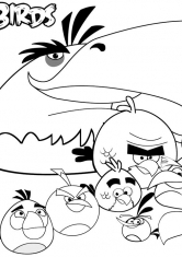 Раскраска Все злые птички