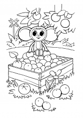 Раскраска Чебурашка в ящике с апельсинами