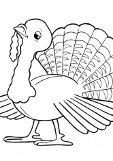 Раскраска Индюк
