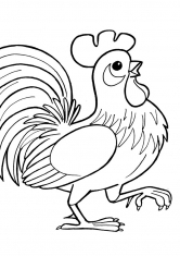 Раскраска Петух