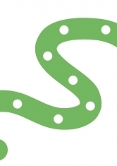 Раскраска Зеленая змея